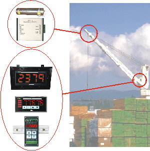 extended load cell example - crane